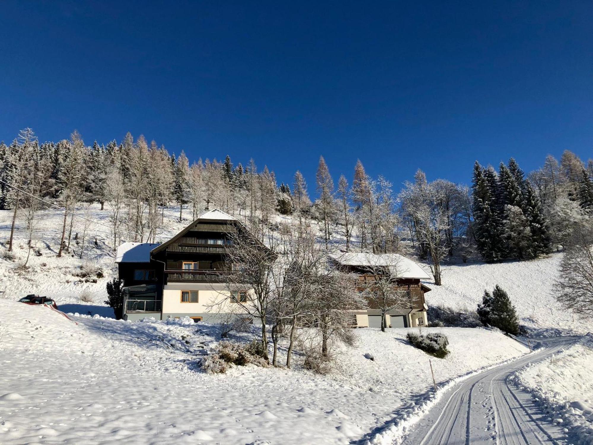 Appartement Vidmar-Ferienglueck Arriach 外观 照片