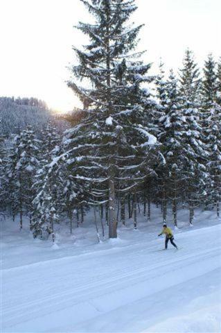 Appartement Vidmar-Ferienglueck Arriach 外观 照片